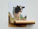 Poster A1 (59,4x84cm) - 170grs gloss - opgerold